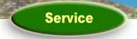 Gartenteich-Service02