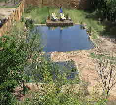 Gartenteich mit Filterteich