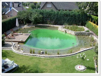 Schwimmteich Schwimmteich