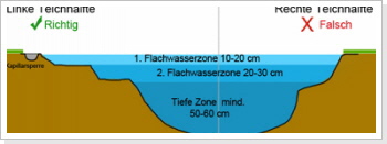 Der Teichrand